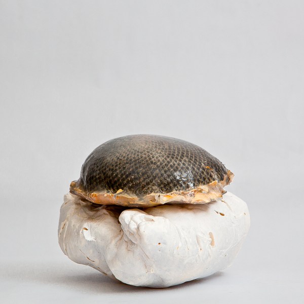 heykel, 16x20x26cm, (poliüretan köpük,sprey boya,silikon, silikon boya,kurutulmuş ayçiçeği)-2014