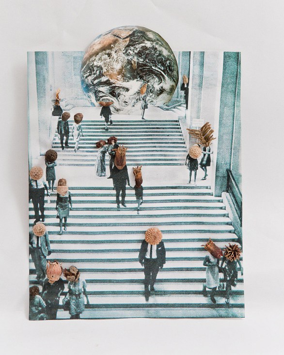 eser-no5-kolajkagit-uzerine-bitki-parcalari