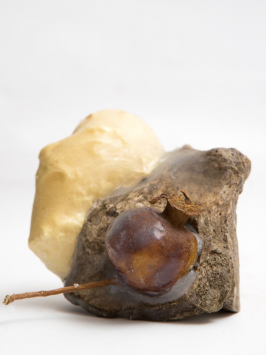 Remind the fruit on the ground its leaves and&nbsp;branches.