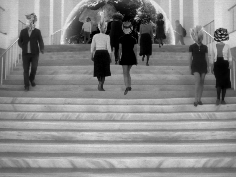 What do you have in common with the ones who want to&nbsp;live?