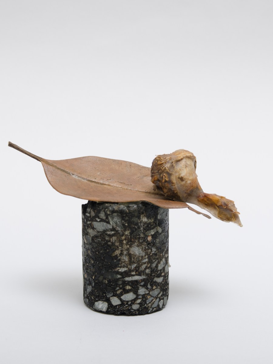 To the eternity of the short living&nbsp;flower.