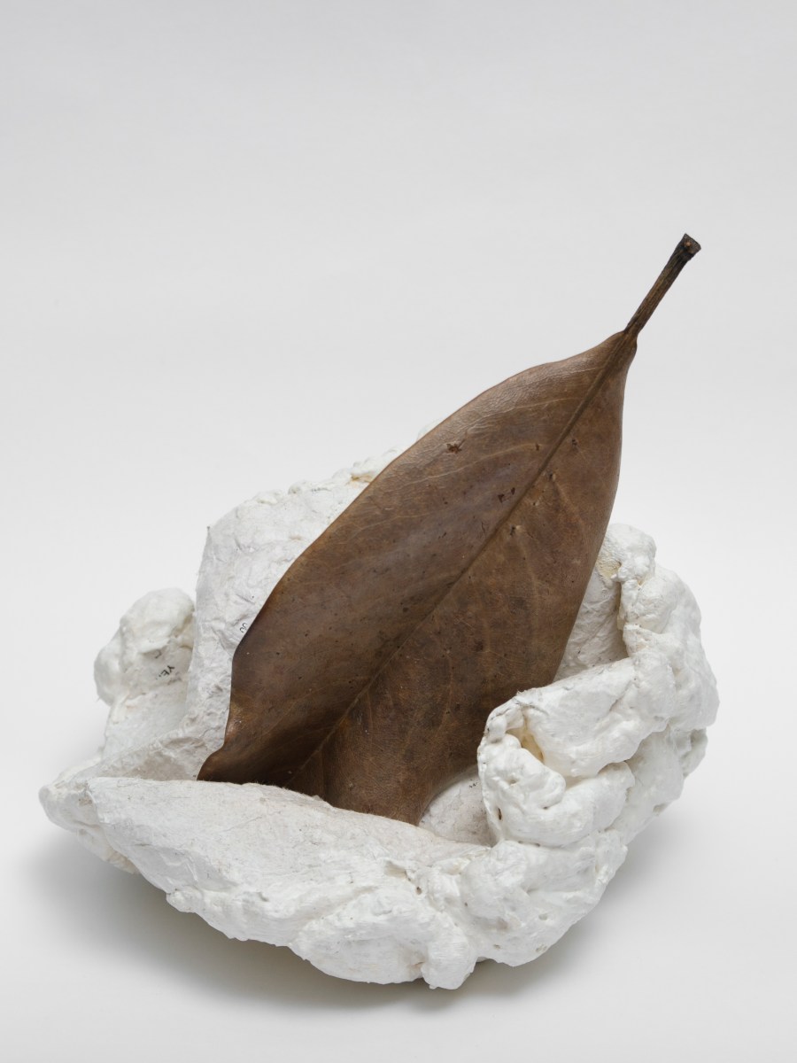 Plainness experience.