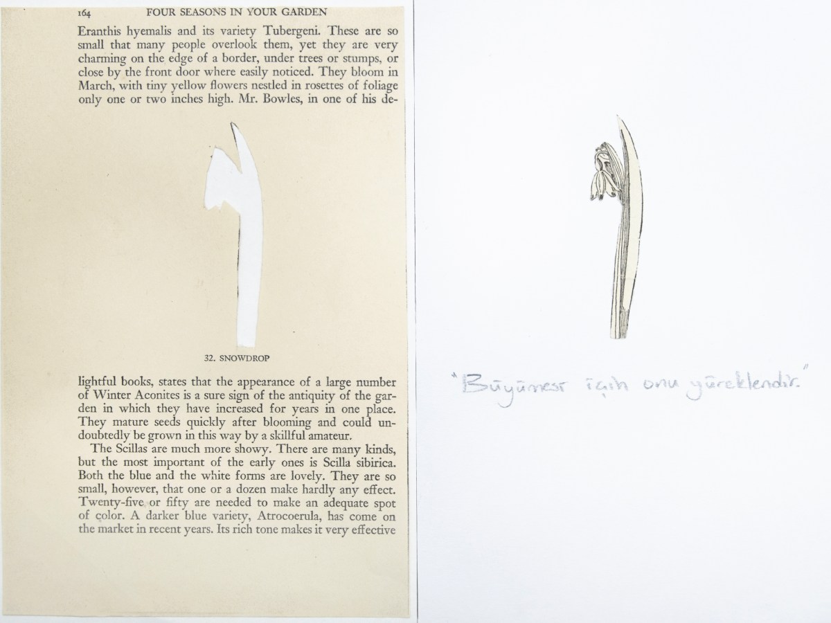 Encourage it to&nbsp;grow.