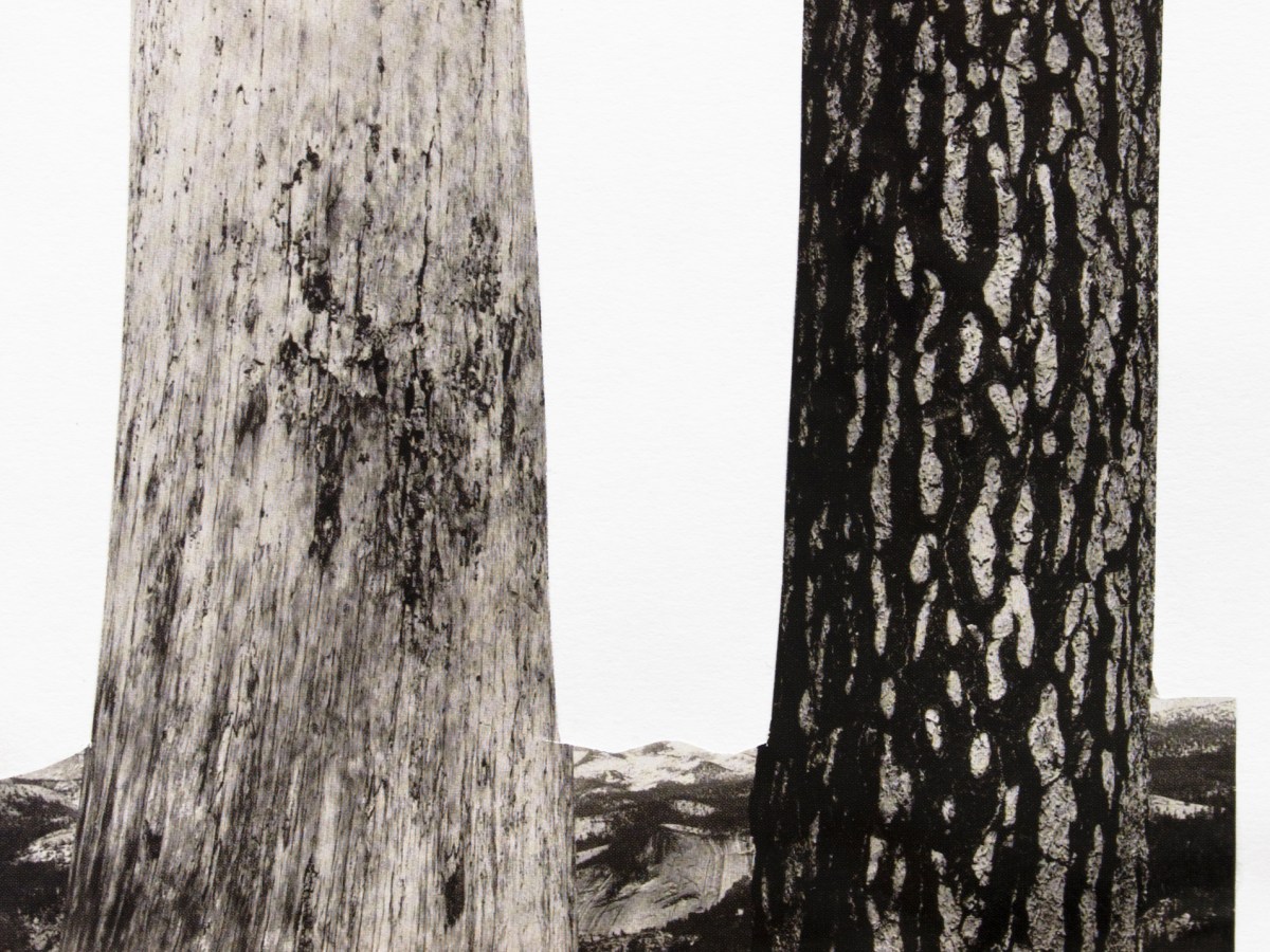 The deficiency between&nbsp;us.