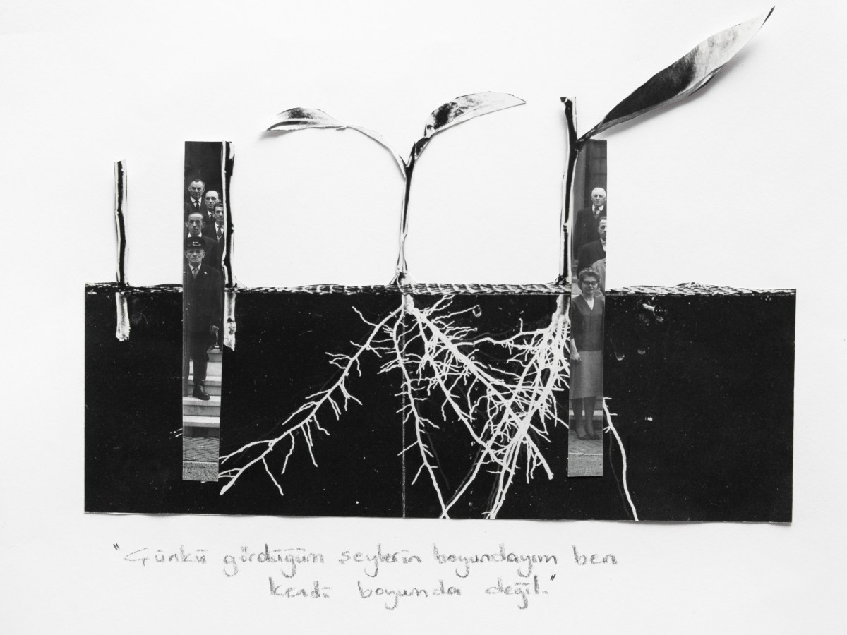 Because I am as tall as my vision not as tall as my&nbsp;height.