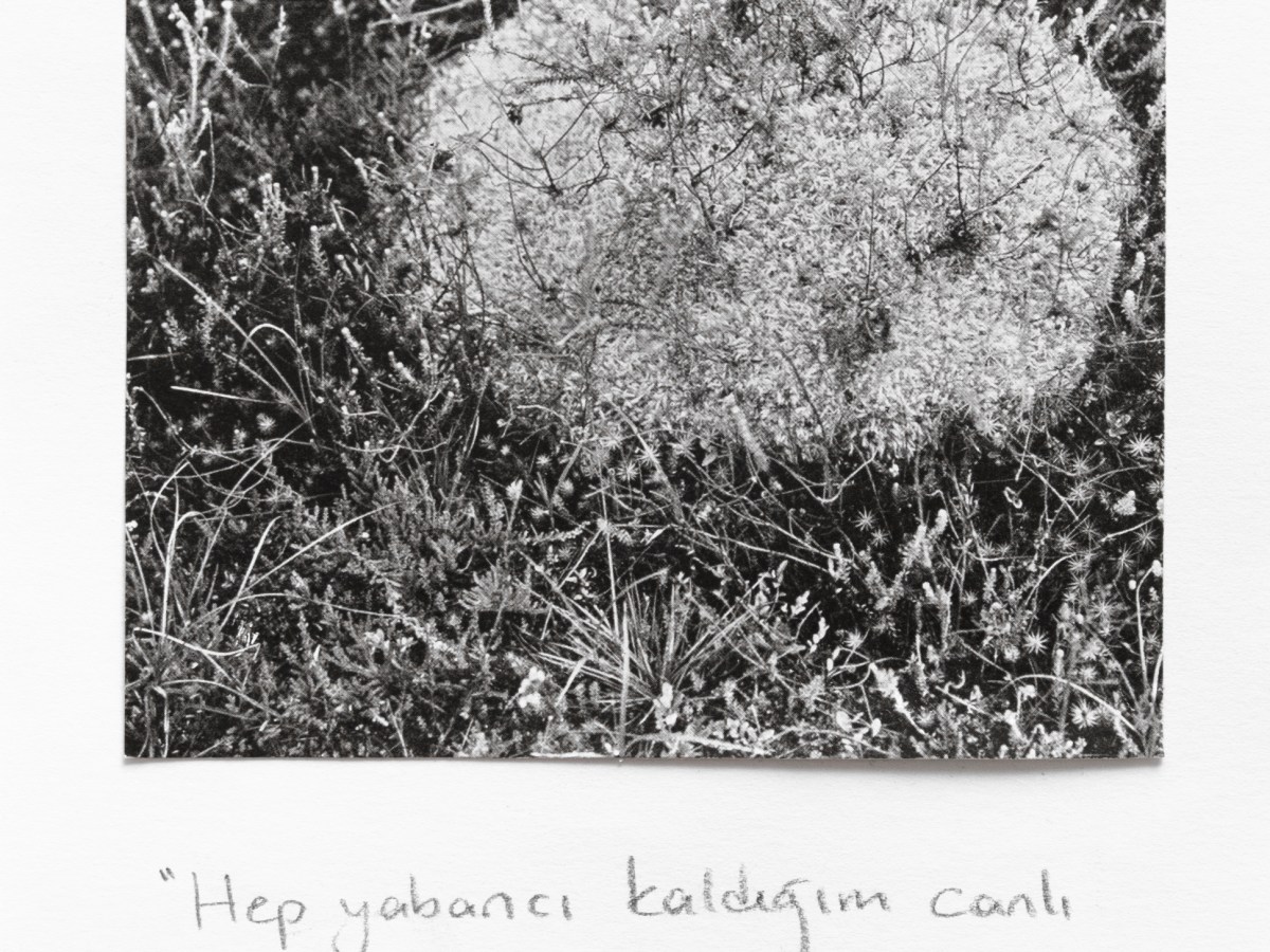 The swell off all the living things I am a stranger&nbsp;to.