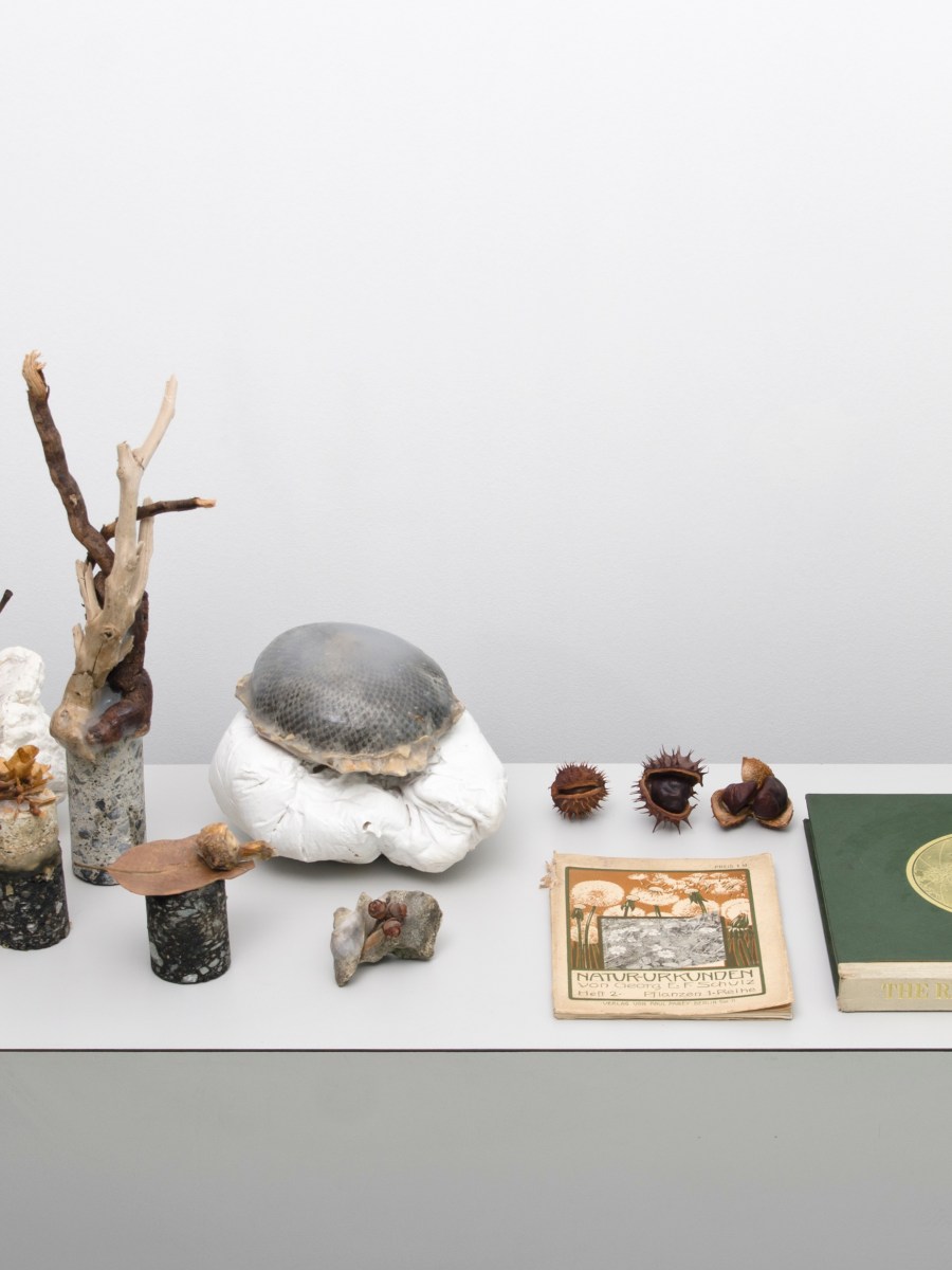 Asamblage installation on&nbsp;case.